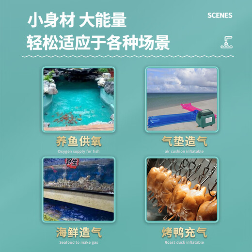 海利海利9720超静音增氧泵户外防雨水鱼池专用氧气泵海鲜池养殖打氧泵 ACO-9720/20W +气泡套餐（送止逆阀）