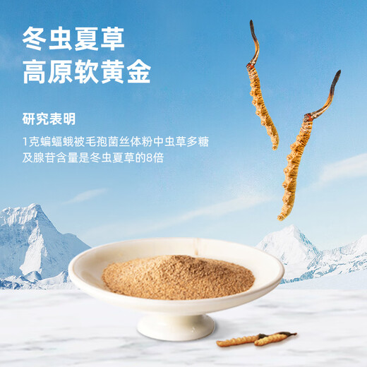 Kaution Huadong Medizin Kaution Cordyceps sinensis Tee, Pilzpulver verstärkt Immunität, Gesundheits -Tee, Nieren- und Lungengesundheits -Tee -Getränk, neue Kunden probieren frisch [3G*3 Bags/Box]