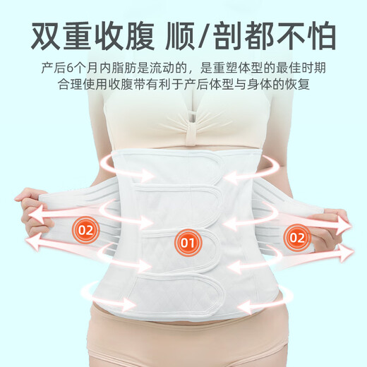 Fengshangzhi medizinischer Abdominalgürtel Kaiserschnitt Abschnitt postpartale Taille und Bauch Ziehung Spezialer Taille und atmungsaktives postoperativer Taille und atmungsaktives Gürtel XL (Gewicht 62,5-72,5 kg)