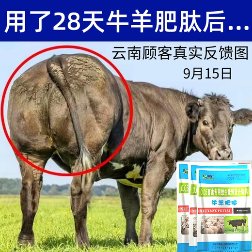 Cattle and sheep fattening, fast fattening, lambs and calves with enlarged frames, fattening, strong and fast fattening, fat king premix 1 bag (trial pack) (cattle and sheep mix 500Jin Jin is equal to 0.5kg)