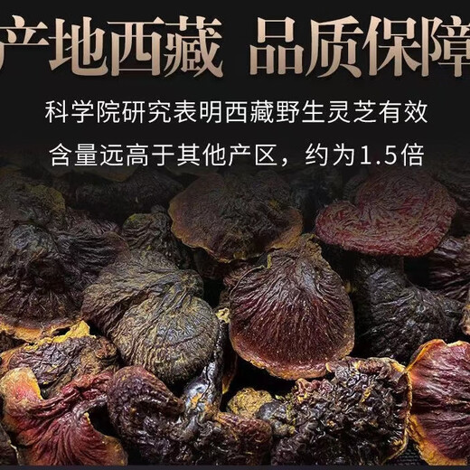 
[Tibetan shipment] Tibet Wild Ganoderma lucidum Red Ganoderma lucidum Spore Powder with Handle Red Ganoderma lucidum Soup Yellow Companion Tibet Wild Ganoderma lucidum 250g