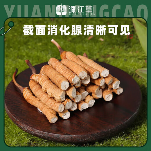 Yuanjiang Gras Cordyceps sinensis Auswahl an Cordyceps vulgaris erschwingliches Paket für ältere Nahrungsergänzungsmittel für sich selbst gegnerische Geschenke 10 Gramm gebrochenes Gras