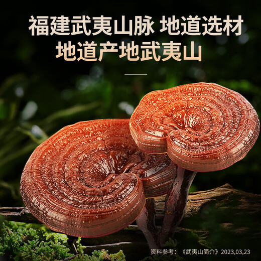 Tongrentang (TRT) Pékin Tongrentang President's Break Wall Ganoderma Lucidum Spore Powder authentique Boîte-cadeau d'immunité améliorée [60 jours] Amélioration des capsules 120 * 2 bouteilles
