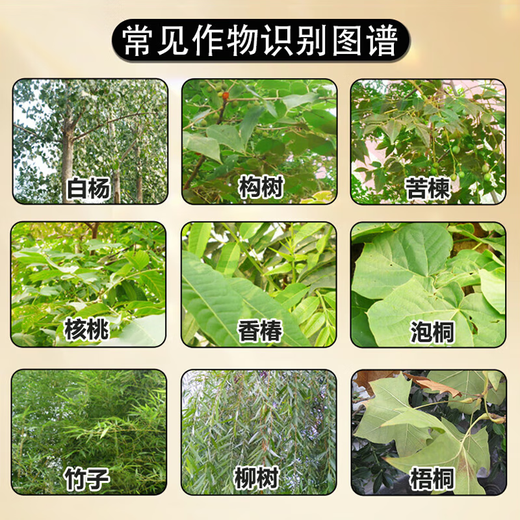 Tetracycline Herbicide Shrub Vine Weed Killer Weed and Rot Root Agent Powerful Tree Killer Large Tree Rot Root King 1Jin Jin is equal to 0.5 kg.