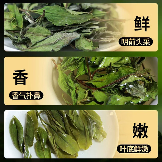 2024 Wilderness Spring Shoumei White Tea Old White Tea Gongmei Flower Fragrance Mountain Wilderness Loose Tea 1000g Free 1 piece of biscuit tea at random