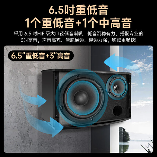 HYUNDAI现代家庭影院点歌机KTV音响套装大功率功放卡拉ok家用点唱k歌设备客厅会议室卡包音箱 【经典版】家庭KTV【升级金属话筒】