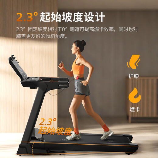 Philips Intelligent Treadmill Home Electric Climbing Folding Noise Reduction and Shock Absorption Indoor Gym Special Equipment 3106T