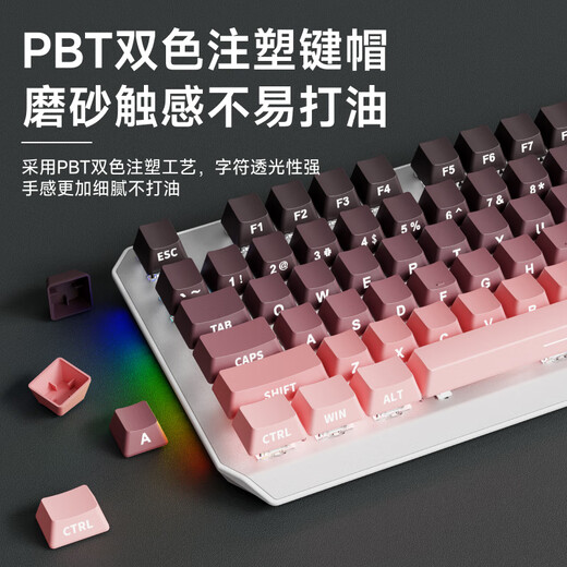 前行者TK870无线机械键盘鼠标套装蓝牙三模高颜值黑莓侧刻104键游戏电竞台式笔记本电脑办公有线通用外设 黑莓侧刻-87键【无线蓝牙三模版】白光+无线鼠标 红轴（轻声舒适）