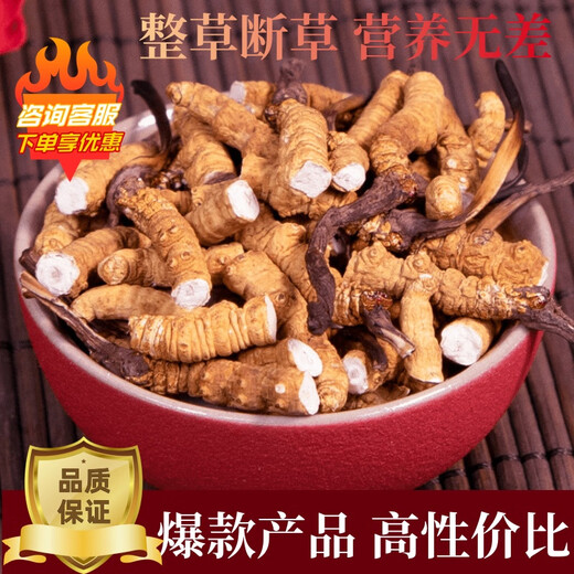 
[Treat the broken grass] Cordyceps sinensis large broken grass authentic Tibetan area broken grass genuine dried goods for self-eating. 10 grams of whole meat festival in Nagqu, Tibet. One gram is given for high-altitude meat festival 10 grams in Tibet.