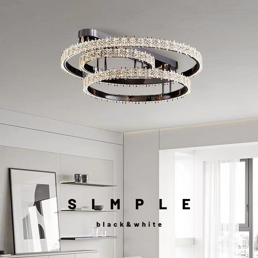 觅心轻奢大气客厅吸顶灯意式极简家用主卧室灯黑色设计师新款2023灯具 珍珠黑单圈40CM 白光