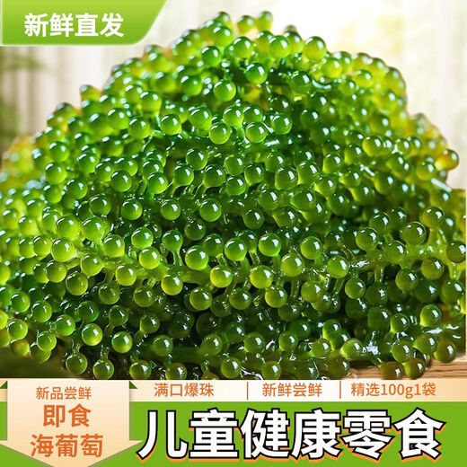盐渍海葡萄泡发食用 儿童海藻菜海洋蔬菜海草 海葡萄100g*5袋【送芥末酱油】