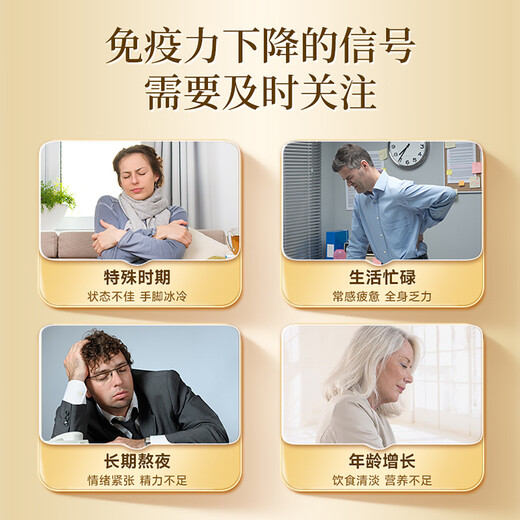 
Tongrentang Ganoderma lucidum spore powder capsule spore powder extract nutrition 0.4g*40 capsules/can*5 gift