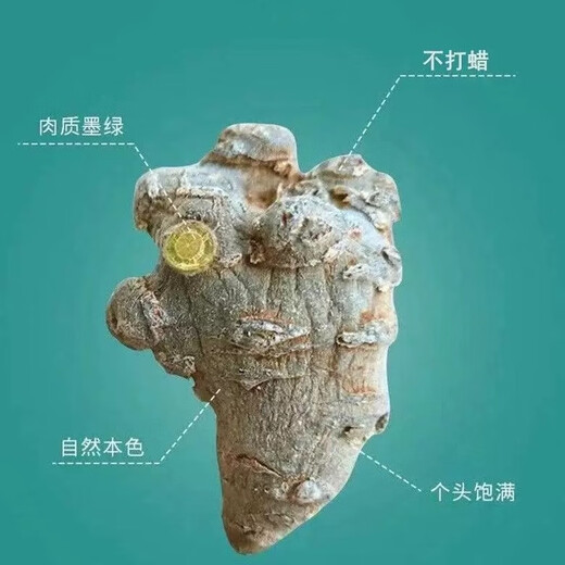 [Großhandelspreis] Sonderklasse 60 Köpfe von Panax Notoginseng Authentic Wild Field 71 Grad Chinesische medizinische Materialien Yunnan Chun Panax Notoginseng Ganz ausgewählte 60 Köpfe Panax Notoginseng 500 Gramm