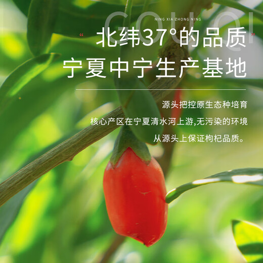 红柳沟红枸杞子宁夏头茬特级500g 免洗大果泡茶养生 节日礼品送父母长辈