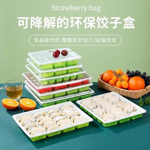 Qincheng disposable dumpling box, take-out special packaging box, commercial compartmented raw and cooked quick-frozen dumpling box, frozen storage box, 15 grids, green and white, thickened, 100 sets, transparent lid