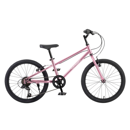 Touareg OCC ultra-light bicycle for children 6-12 years old girls bicycle primary school students New Year's Day gift Hummingbird 20-inch powder
