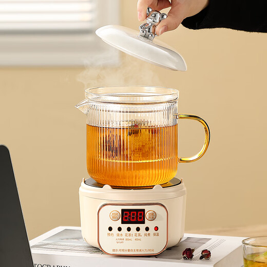 Mini multi-functional health pot all-glass electric ceramic stove health kettle small office tea maker 2024 new teapot mini flower teapot health cup for one person smart electric ceramic stove + 0.85L glass cup + glass tea drain