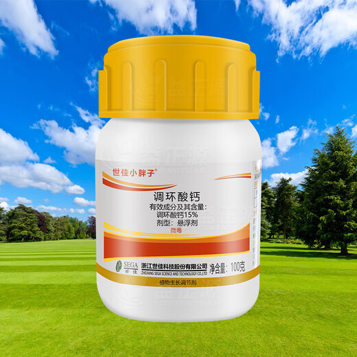 Shijia Little Fatty 15% Prohexadione Calcium Ginger Regulates Growth, Controls Exuberance and Inhibits Growth Plant Growth Regulator 100g