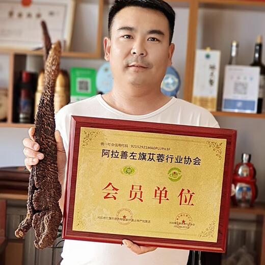 Tuoxiang zhenbao alaxan entier cistanche désert huile extra mous cistanche désert huile épaisse viande de cistanche trempée avec du vin chinois médicinal
