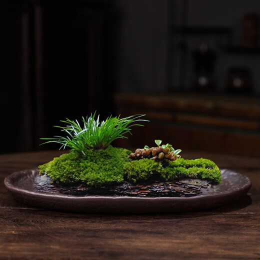 SMVP盆景盆苔藓吸水石盆器盆景盆长方形菖蒲假山上水石水培紫砂陶瓷底 盆景盆2677 陶瓷 大