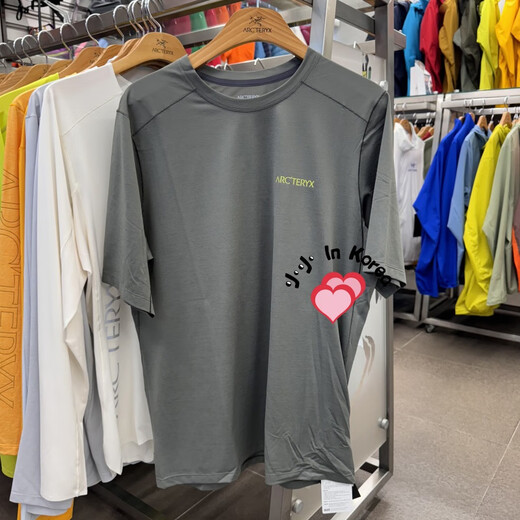 Archaeoptera Bird (Arc'teryx) Arc/Aposteryxcormac Arc/Aposbird Logo SS Round Hals kurzärmelig T-Shirt Herren BHR/Schwarz und Grau 7994/9721 2xl