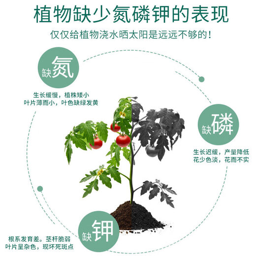 Compound fertilizer, vegetable agricultural cauliflower fertilizer, water-soluble fertilizer, potted plant foliar nitrogen, phosphorus and potassium chemical fertilizer, household granular fertilizer, organic fertilizer 500g*3 cans (with planting tools