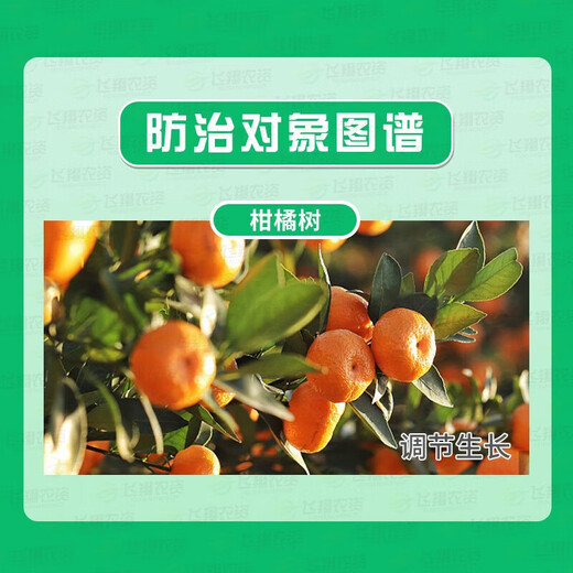 Guoguang Plant Source 2% Benzylaminopurine Rose Fruit Tree Flower Flowering and Germination Preserving Flower and Fruit Cytokinin 10m 1000ml