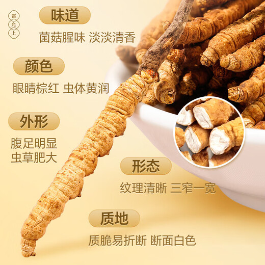 雷允上【官方】冬虫夏草高档虫草礼盒滋补品送长辈礼品送健康高端送人 【虫草致友，情谊长存】扎花礼盒装-虫草5g装