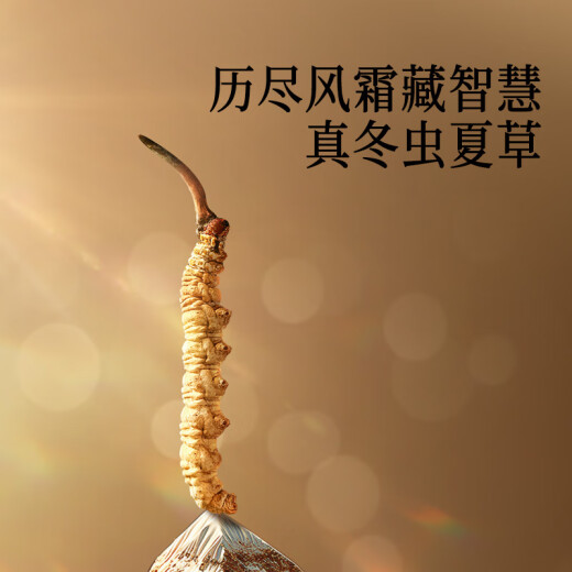 同仁堂品牌西藏野生冬虫夏草约4根/g2g约8根礼品高端送人实用送长辈礼盒