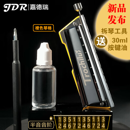 嘉德瑞（JDR）蜂鸟TROCHILUS新品10孔布鲁斯带按键半音阶口琴让您再也无惧压音 10孔半音阶音阶-黄色 C6调