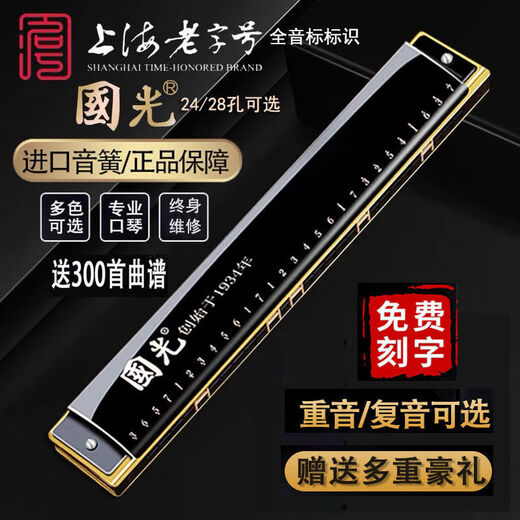 国光国光口琴专业演奏级重音德国进口音簧复音C调初学者入门成人自学 24孔 C调 复音黑色+全套赠品
