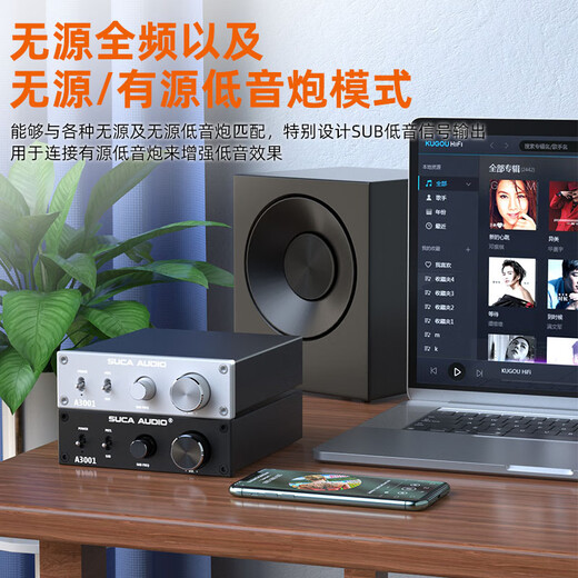 
SUCA AUDIO Voice A3001 Mono AV Home Theater 2.1/5.1/7.1 Subwoofer SUB Mid-mounted 300W Digital Amplifier Black [with 32V/5A Power Supply]