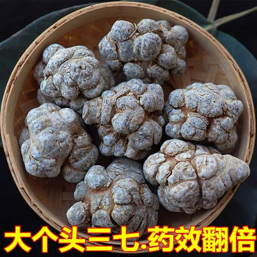 Sanqitou Authentische Yunnan Wenshan 20 Spring Sanqitou Ganze chinesische medizinische Materialien Trockenwaren, Spezialgrad Wildfeld 7 neue Waren 20 Sanqitou 500g