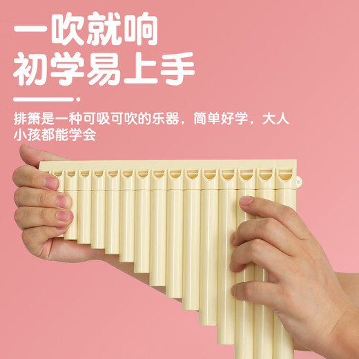 YTK易学排箫16管18管儿童专业演奏民族乐器小学生初学者入门专用 18管米棕色+送好礼