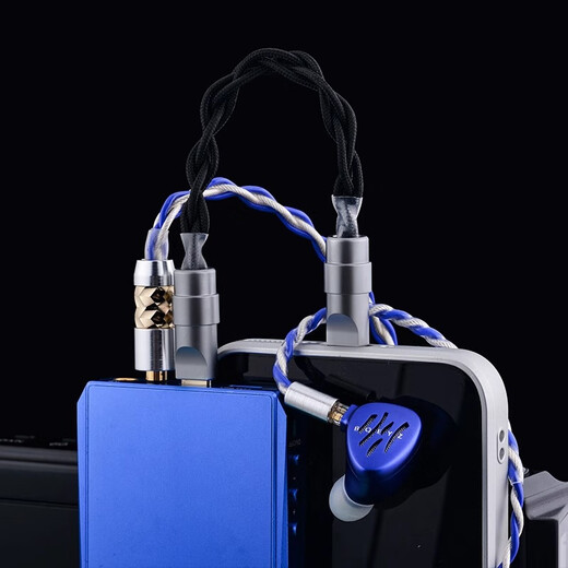 Yangshi dual Type-C decoding cable, single crystal copper silver-plated OTG, oxygen-free copper silver-plating, player, decoder amp, small tail audio cable, 4 strands of pure silver Twilight Typec--C