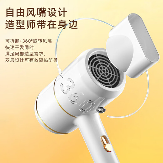 Yier Hair Dryer Home Male and Female Student Dormitory Hair Dryer Blue Light Negative Ion Constant Temperature Hair Care Large and Small Power Portable 800W Fashion White 800W (Special for Family and School Dormitories)