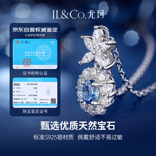 IL&CO Youke Natural Sapphire Necklace Women's Light Luxury 925 Silver Clavicle Chain Birthday Valentine's Day Gift for Girlfriend and Wife