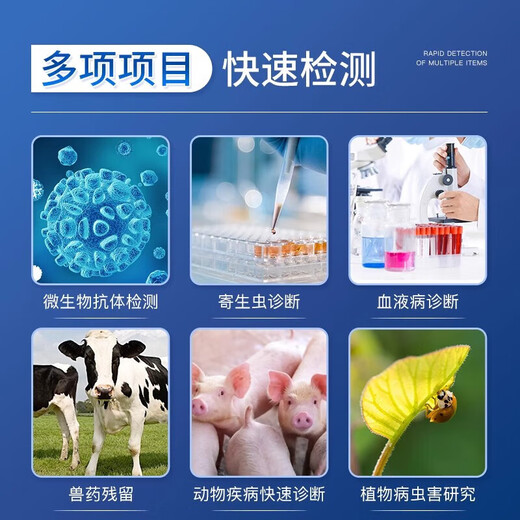 Ylinst Totalmente automático Multifuncional Lector de microplacas Analizador inmunopatológico Detección de anticuerpos microbianos Diagnóstico de enfermedad animal Instrumento SL-3518G Microplate Reader (pantalla táctil de 10 pulgadas)