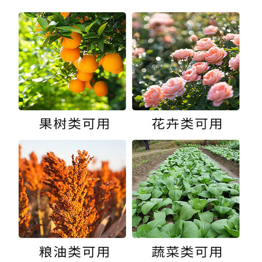智绿复合肥料通用型氮磷钾肥花卉蔬菜果树农用肥颗粒肥中量元素水溶肥 复合肥硫基均衡型5斤*1桶
