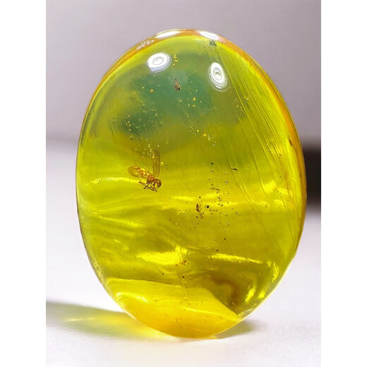 Xuanshi's new Burmese natural bee insect amber spider amber Cretaceous insect fossil paleontological specimen authentic 7.01 38*29*12mm 7.01g