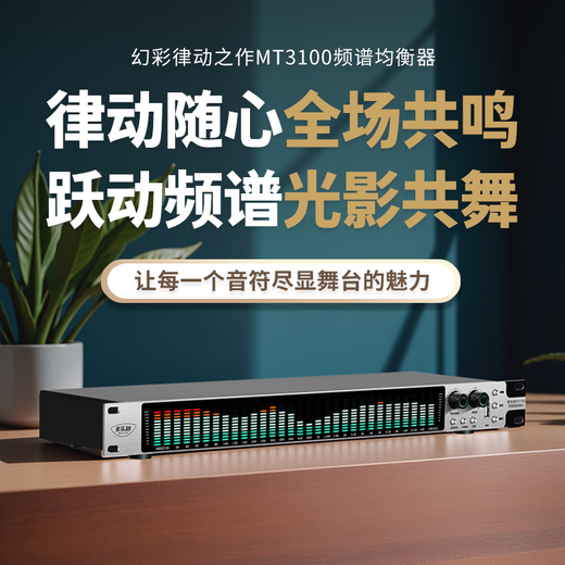 Melody MT3100 digital spectrum analyzer equalizer, professional 31-band EQ adjustment, intelligent noise reduction audio processor, audiophile-grade home stage performance KTV peripheral equipment, MT3100 flagship spectrum analyzer (including XLR male and bus)