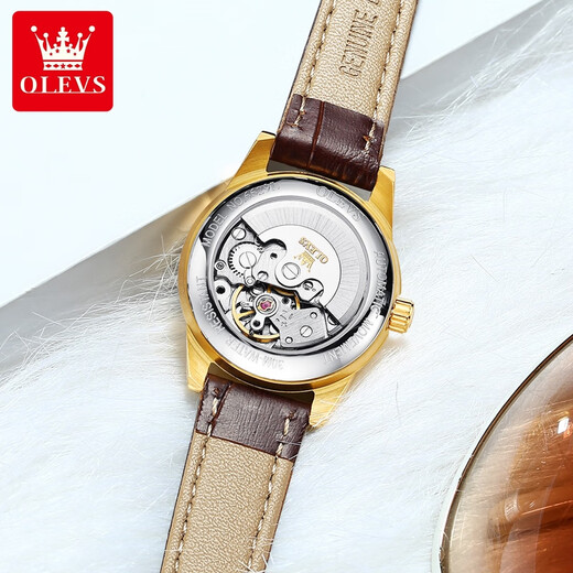 Swisss Swisss Swiss Swiss Watches для женщин Механические часы Полностью автоматические простые темпераментные женские часы Light Luxury Belt Women's Watch Olevs-6629 Женские кожаные черные лица с кожаным лицом