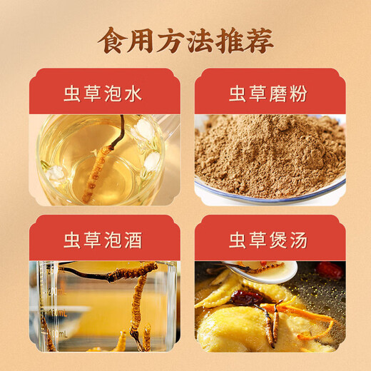 Huaici Tang Cordyceps Sinensis среднего возраста добавки для здоровья старейшины 4 палочки/грамм 10 грамм 40 палочек [подарочная коробка с твердым деревом]]