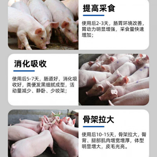 Pig Erjian fattening, fattening, weight gain and fattening agent for pigs to grow and eat Zhuerjian trace element feed additive for veterinary use 25 bags (one piece) It is more cost-effective to send direct hair from the manufacturer