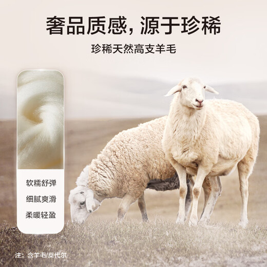 Hongdou shopping mall same style suit wool suit men's 25 spring new suit vest suit wedding groom suit suit suit vest-Planet Blue 2XL 185/104A