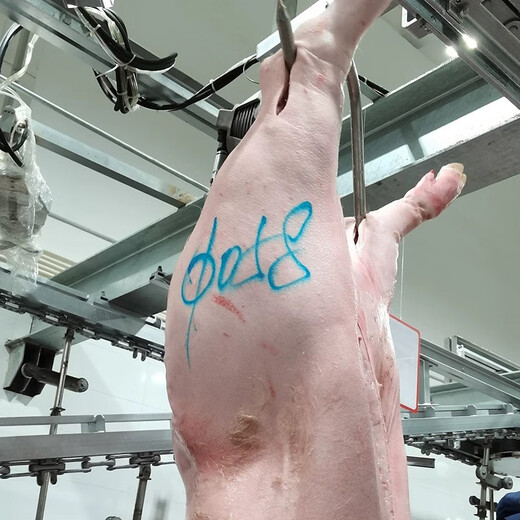 德国原装进口辉柏嘉698猪肉类专用记号笔防水防油猪用蓝色水溶彩铅笔牛羊猪肉标记笔屠宰笔彩色盒装单只 肉类标记笔【6支装】