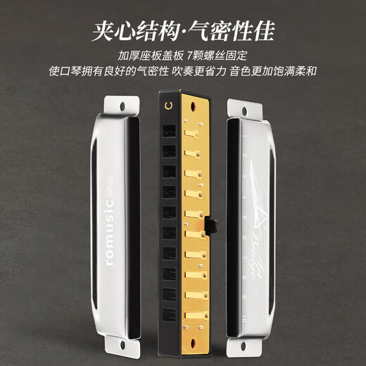 romusic10孔布鲁斯口琴C调成人儿童初学推荐演奏款口吹琴银色RA-410