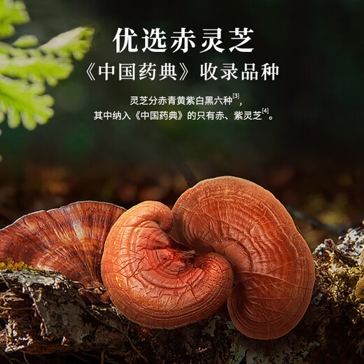 雷允上【官方直售】破壁灵芝孢子粉胶囊90粒/瓶 赤灵芝 实付满200发顺丰 3瓶 94.5g