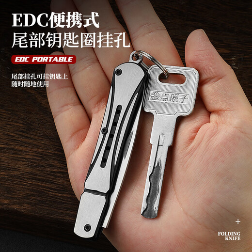 龙虎斩不锈钢折叠水果刀家用削皮刀便携防身刀钥匙扣拆箱小刀应急随身刀 朋克大号