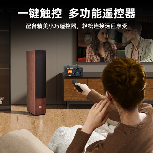SUCA AUDIO声优创SMART01 胆机功放机家用胆前级发烧级解码前胆后石蓝牙hifi电子管小型功率放大器 标准款【配美国5654电子管】
